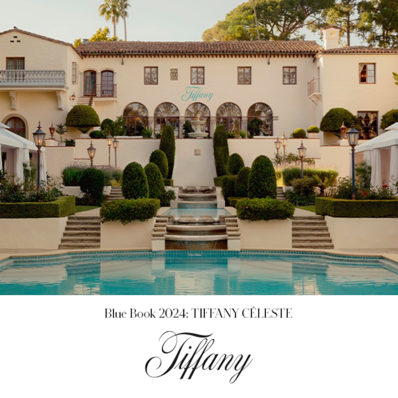 Project-Blue Book 2024: Tiffany Céleste